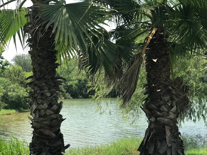 RV Park Image